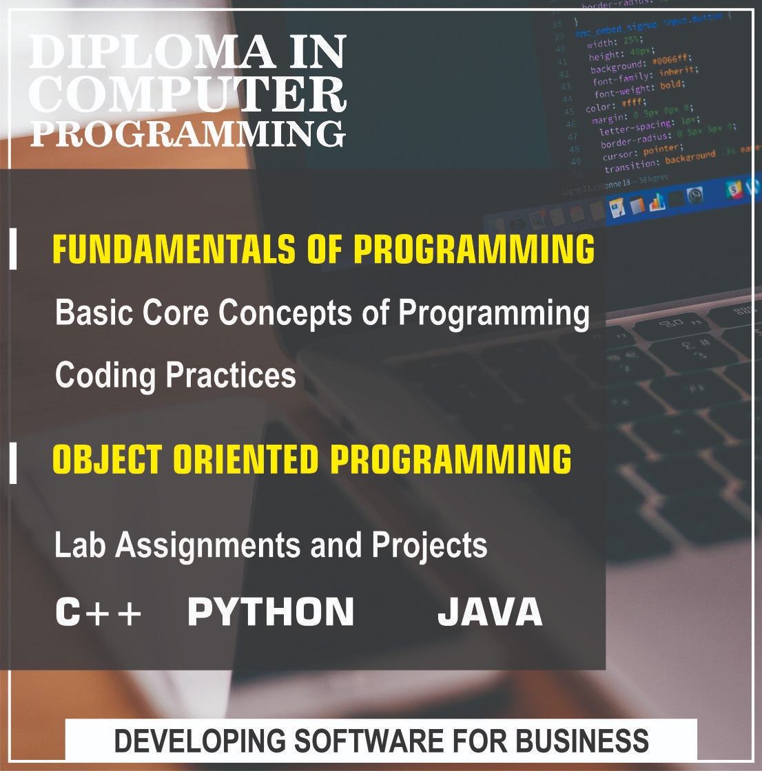 Diploma in Programming Basics
